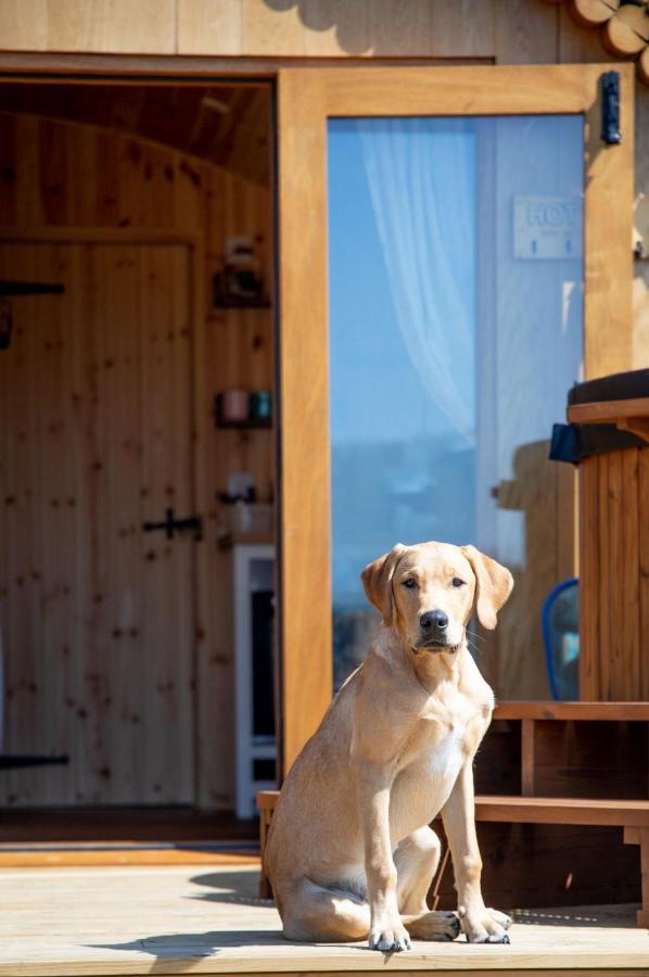Barnhorn Glamping Villa Hooe Buitenkant foto